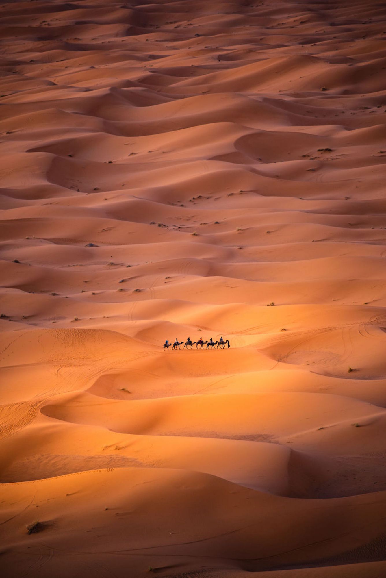 Foto foi tirada de uma duna alta em Merzouga, Marrocos, onde os nômades são vistos se movendo pelo deserto do Saara