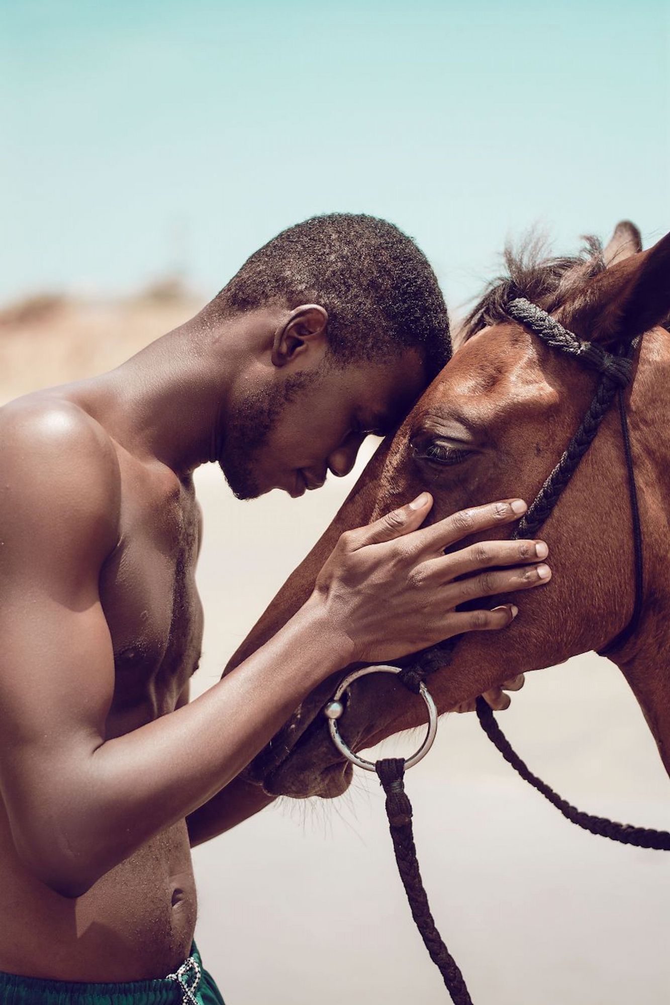  Fotógrafo quer mostrar a cordial relação entre um homem e um animal